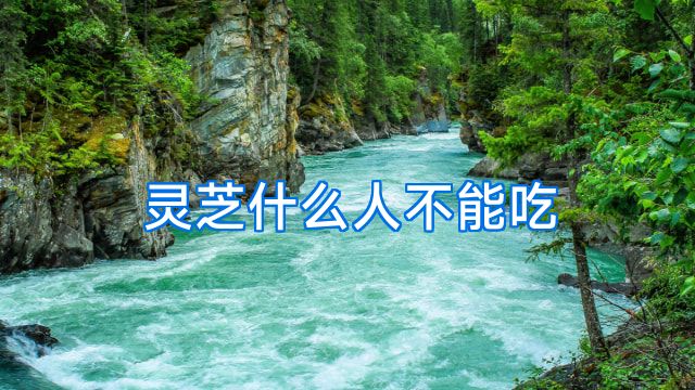 灵芝什么人不能吃