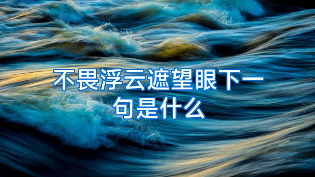 不畏浮云遮望眼下一句是什么