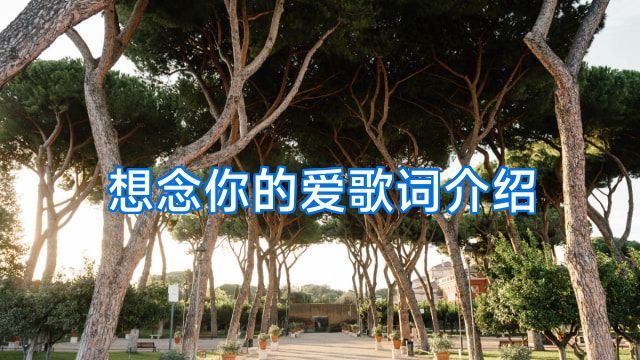 想念你的爱歌词介绍