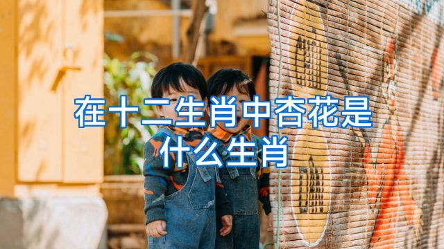 在十二生肖中杏花是什么生肖