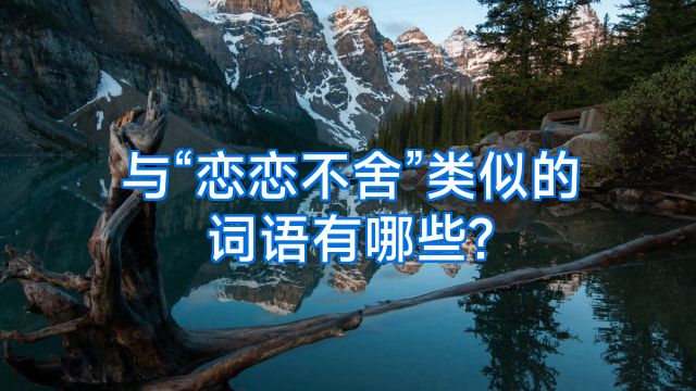 与“恋恋不舍”类似的词语有哪些?