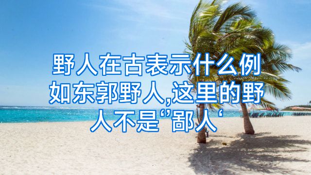 野人在古表示什么例如东郭野人,这里的野人不是‘’鄙人‘