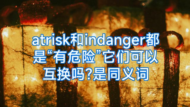 atrisk和indanger都是“有危险”它们可以互换吗?是同义词