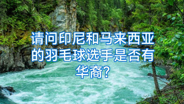 请问印尼和马来西亚的羽毛球选手是否有华裔?