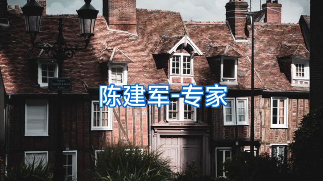 陈建军-专家