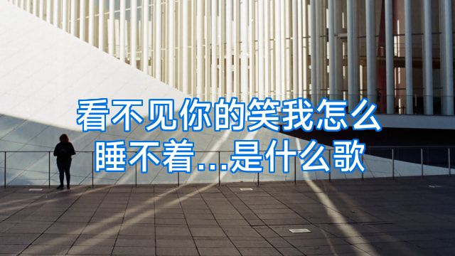 看不见你的笑我怎么睡不着…是什么歌