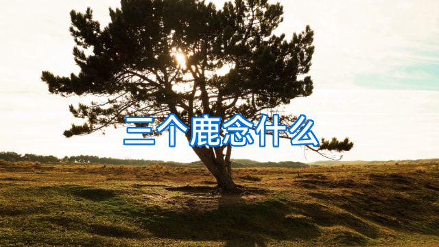 三个鹿念什么