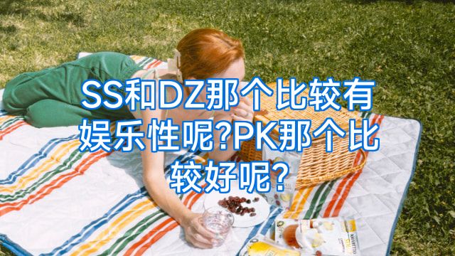 SS和DZ那个比较有娱乐性呢?PK那个比较好呢?