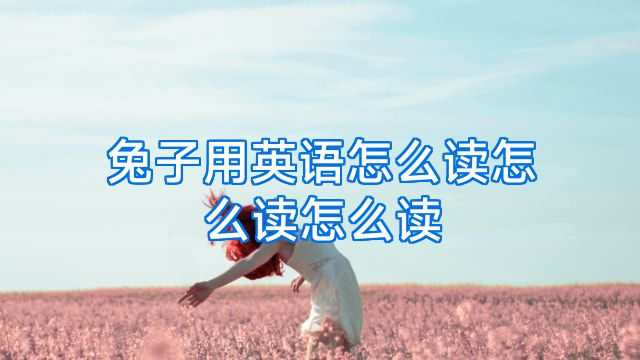 兔子用英语怎么读怎么读怎么读