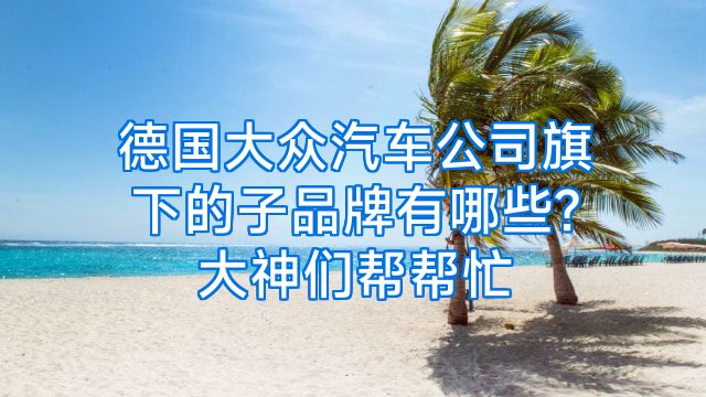 德国大众汽车公司旗下的子品牌有哪些?大神们帮帮忙