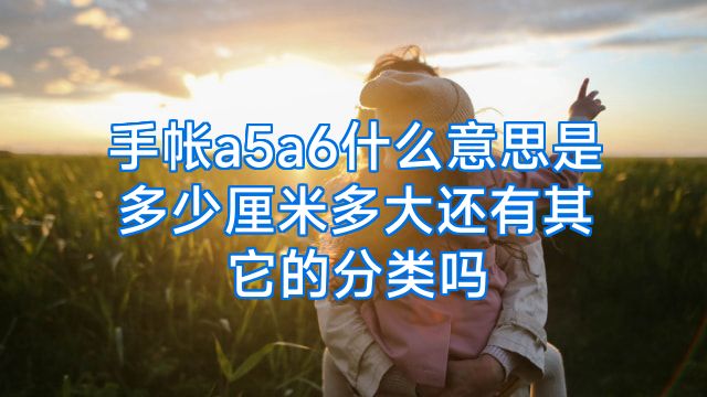 手帐a5a6什么意思是多少厘米多大还有其它的分类吗
