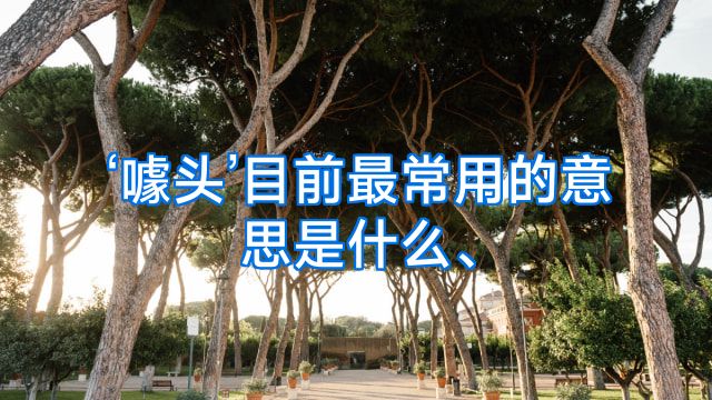 ‘噱头’目前最常用的意思是什么、