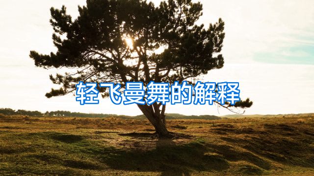 轻飞曼舞的解释