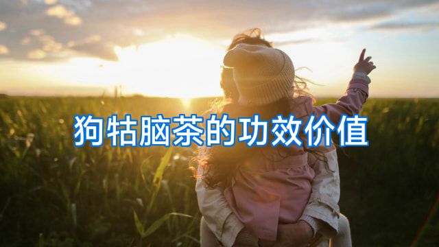 狗牯脑茶的功效价值