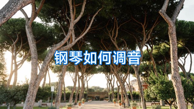 钢琴如何调音