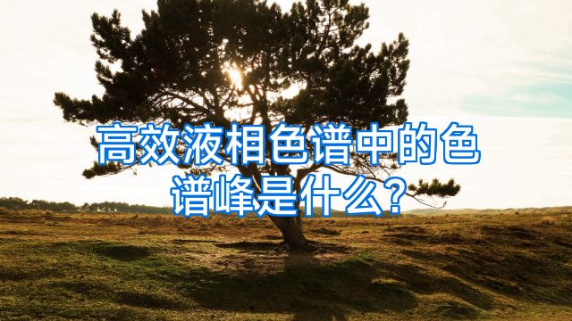 高效液相色谱中的色谱峰是什么?