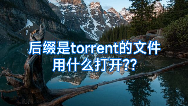 后缀是torrent的文件用什么打开??