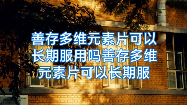 善存多维元素片可以长期服用吗善存多维元素片可以长期服