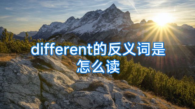 different的反义词是怎么读