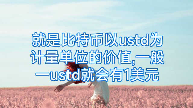 就是比特币以ustd为计量单位的价值,一般一ustd就会有1美元