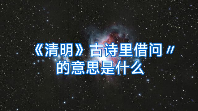 《清明》古诗里借问〃的意思是什么