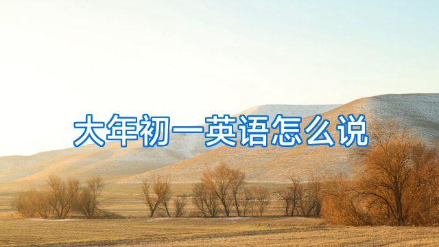 大年初一英语怎么说