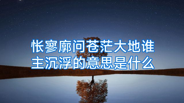 怅寥廓问苍茫大地谁主沉浮的意思是什么