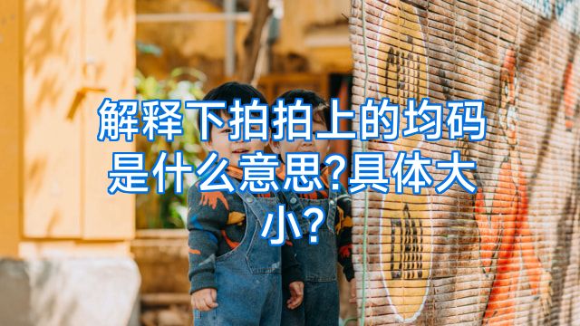 解释下拍拍上的均码是什么意思?具体大小?