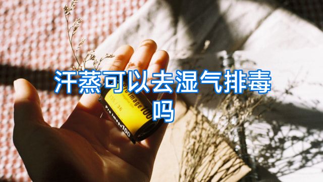 汗蒸可以去湿气排毒吗