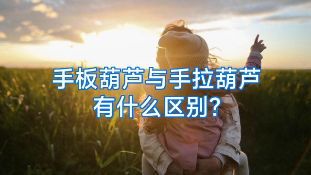 手板葫芦与手拉葫芦有什么区别?