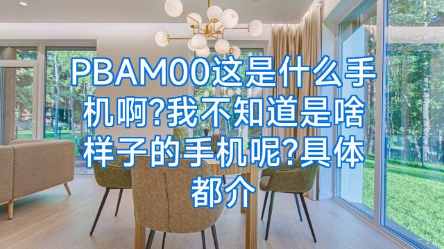 PBAM00这是什么手机啊?我不知道是啥样子的手机呢?具体都介