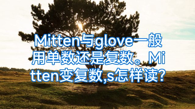 Mitten与glove一般用单数还是复数。Mitten变复数,s怎样读?