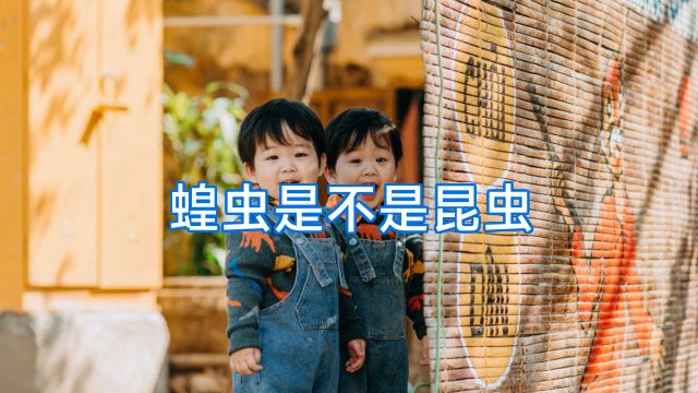 蝗虫是不是昆虫