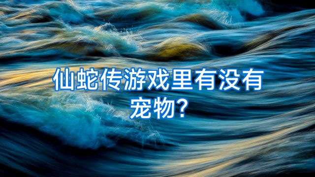 仙蛇传游戏里有没有宠物?