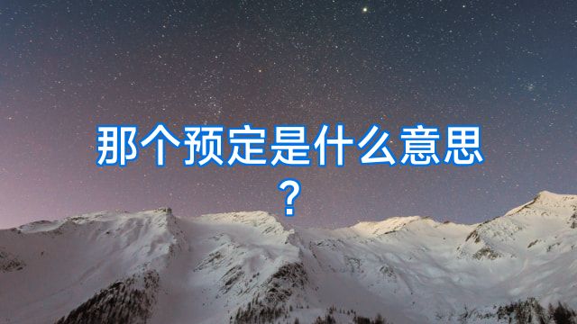 那个预定是什么意思?