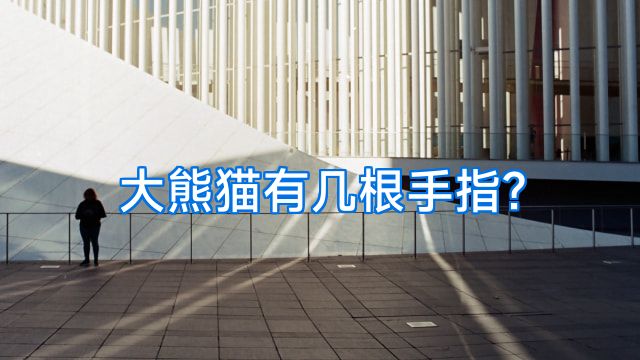 大熊猫有几根手指?
