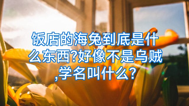 饭店的海兔到底是什么东西?好像不是乌贼,学名叫什么?