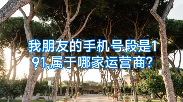 我朋友的手机号段是191,属于哪家运营商?