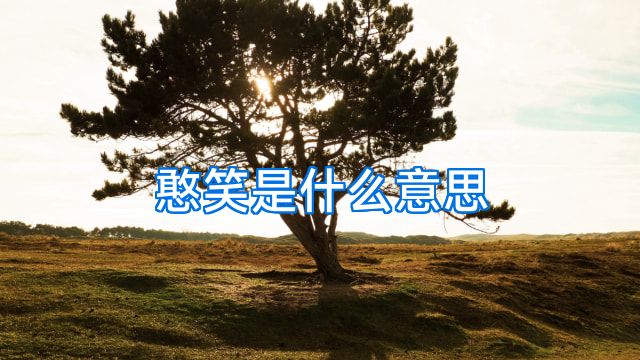 憨笑是什么意思