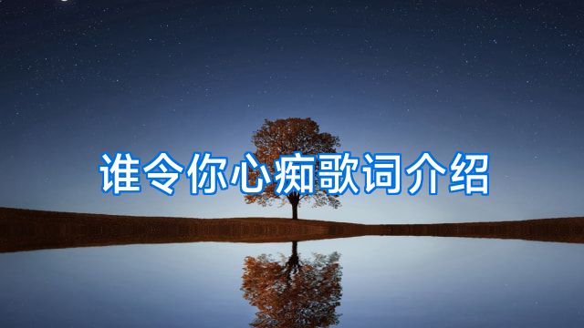 谁令你心痴歌词介绍
