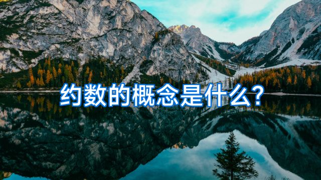 约数的概念是什么?