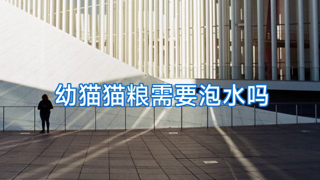 幼猫猫粮需要泡水吗