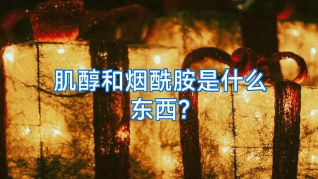 肌醇和烟酰胺是什么东西?