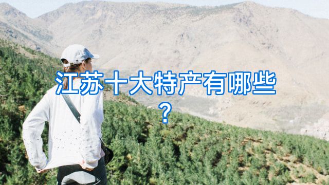 江苏十大特产有哪些?