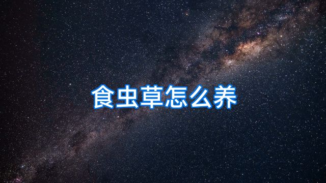 食虫草怎么养