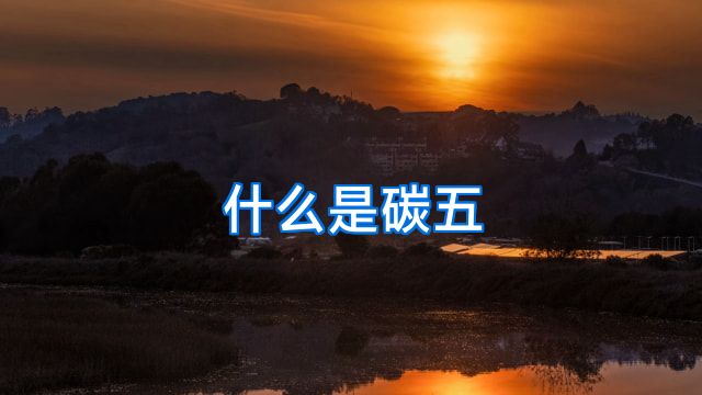 什么是碳五