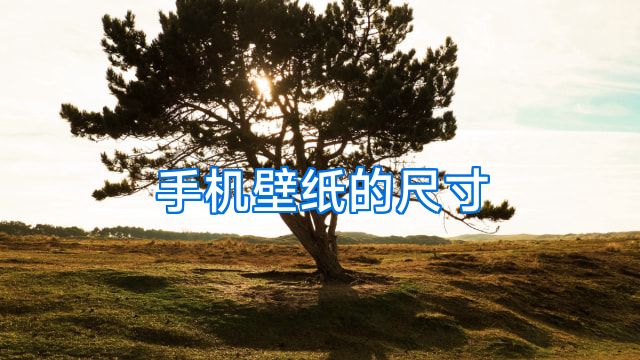 手机壁纸的尺寸