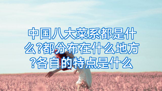 中国八大菜系都是什么?都分布在什么地方?各自的特点是什么