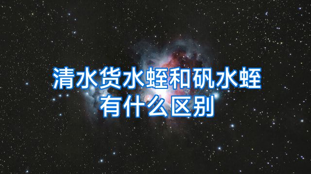 清水货水蛭和矾水蛭有什么区别