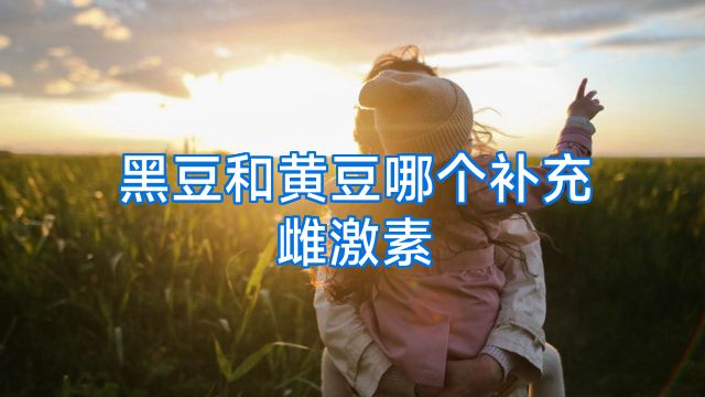 黑豆和黄豆哪个补充雌激素